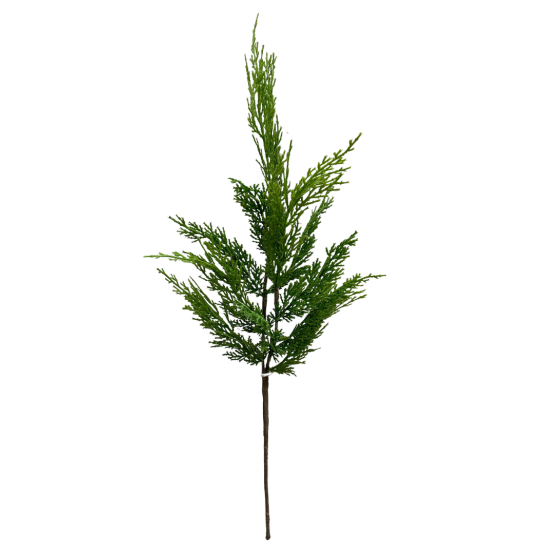 CEDAR WHISP | STEM M