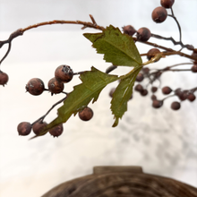 Load image into Gallery viewer, Vine Berry | Dark
