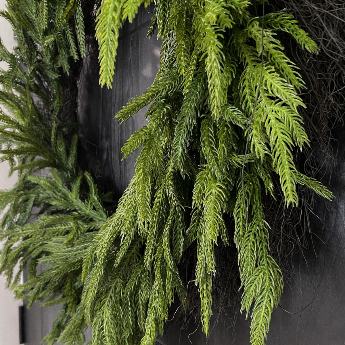 NORFOLK | WREATH