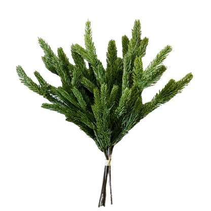 SPRUCE | STEM