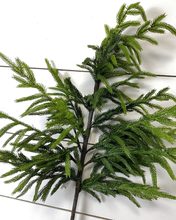 Load image into Gallery viewer, NORFOLK | BRANCH
