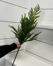 Load image into Gallery viewer, NORFOLK | STEM M
