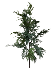 Load image into Gallery viewer, WHITE CEDAR | BRANCH
