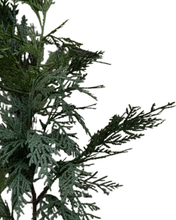 Load image into Gallery viewer, WHITE CEDAR | BRANCH
