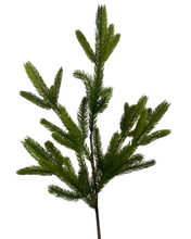 Load image into Gallery viewer, SPRUCE | STEM L
