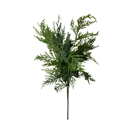 WHITE CEDAR | STEM