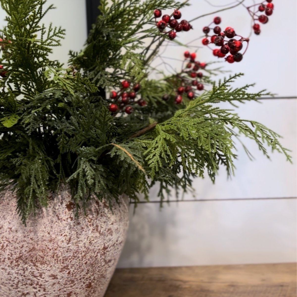 WHITE CEDAR | STEM