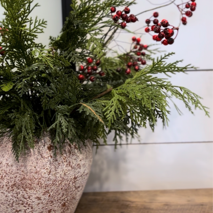 WHITE CEDAR | STEM