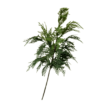 WHITE CEDAR | STEM