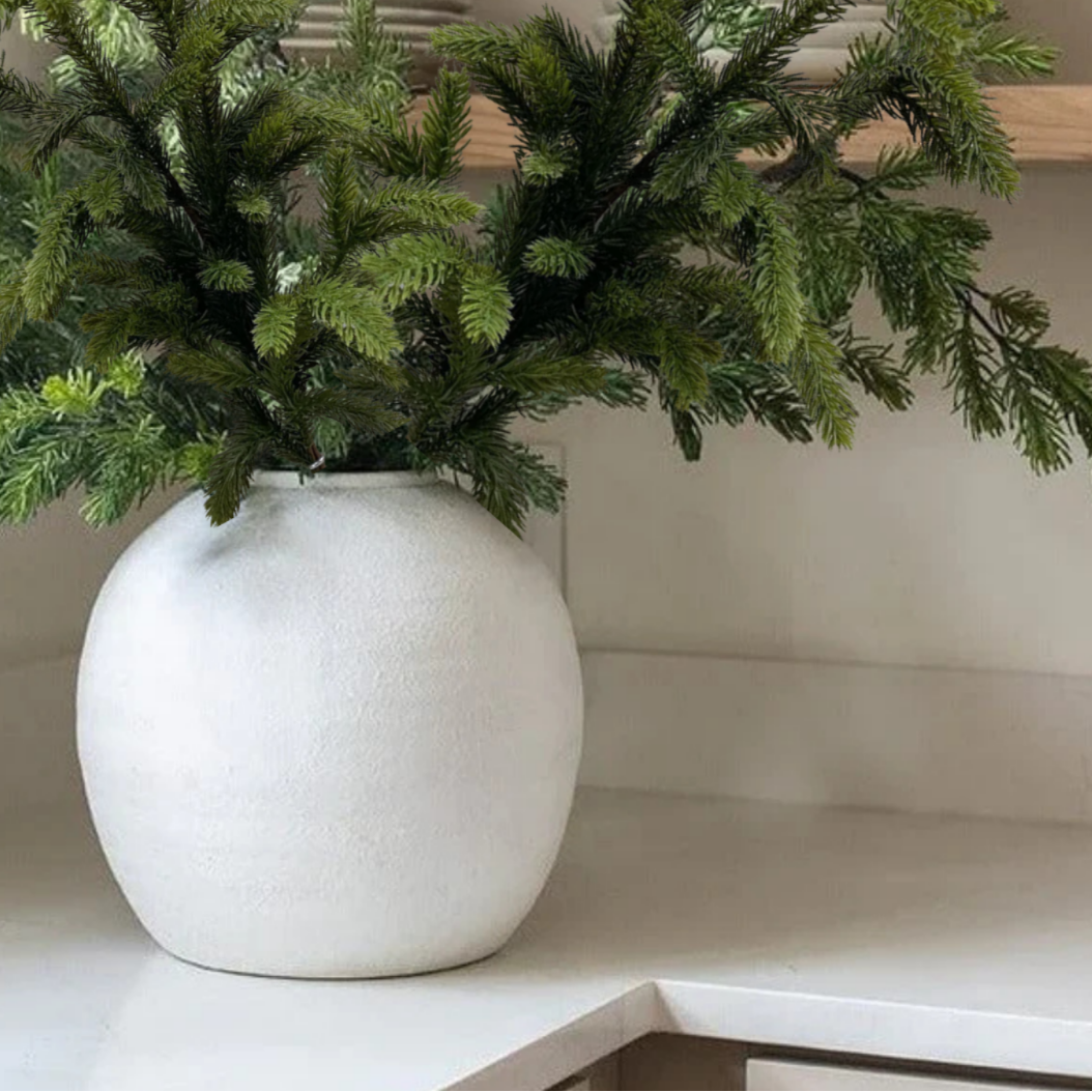 SPRUCE | STEM