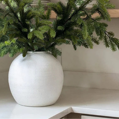SPRUCE | STEM