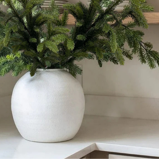 SPRUCE | STEM