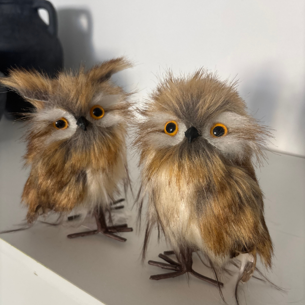 OWL SET