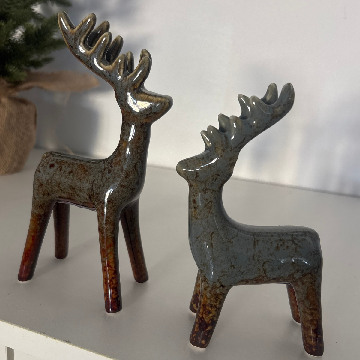 Reindeer | Slate