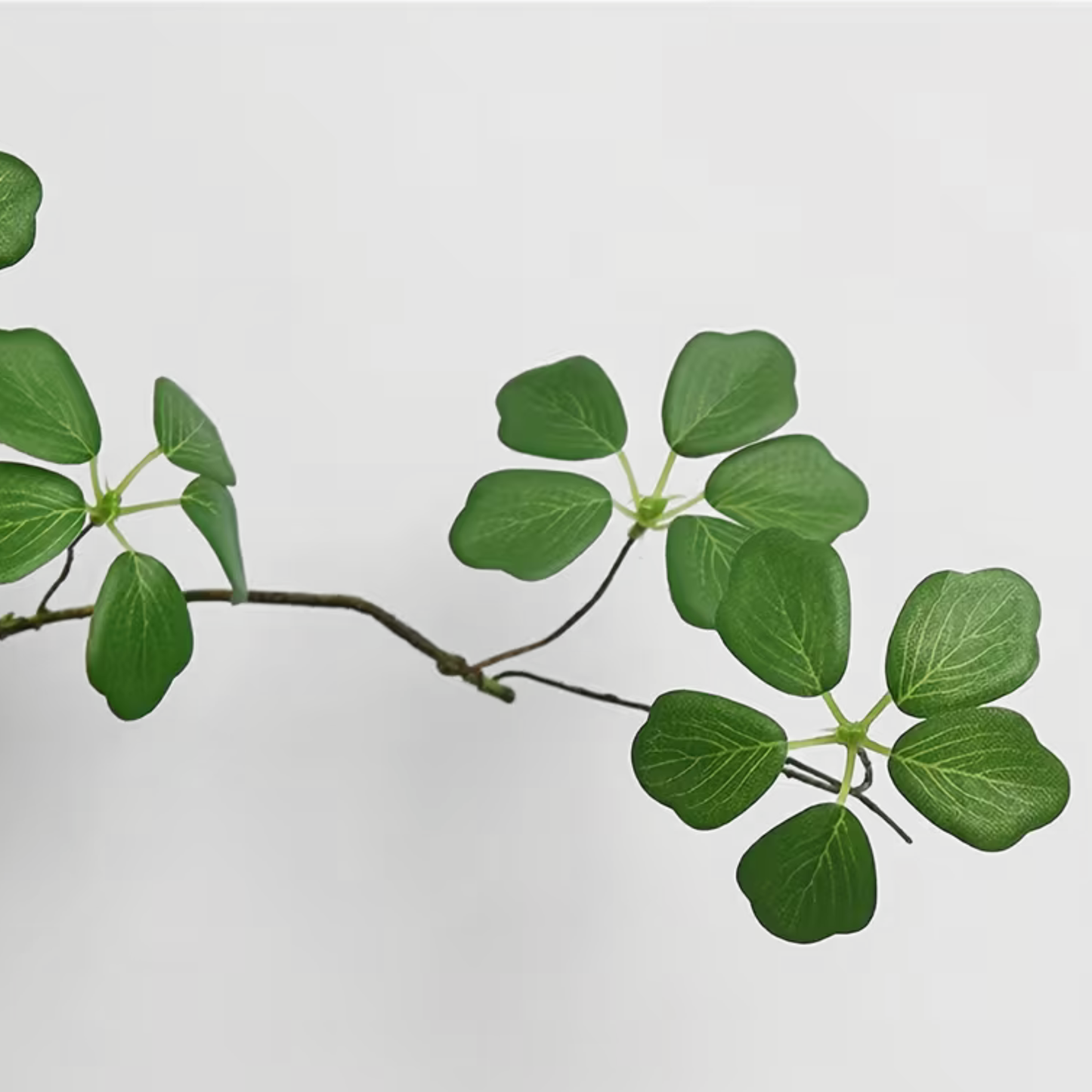 Delicate Branch | Stem