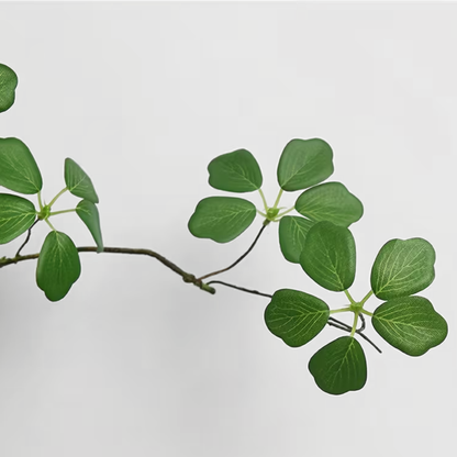 Delicate Branch | Stem