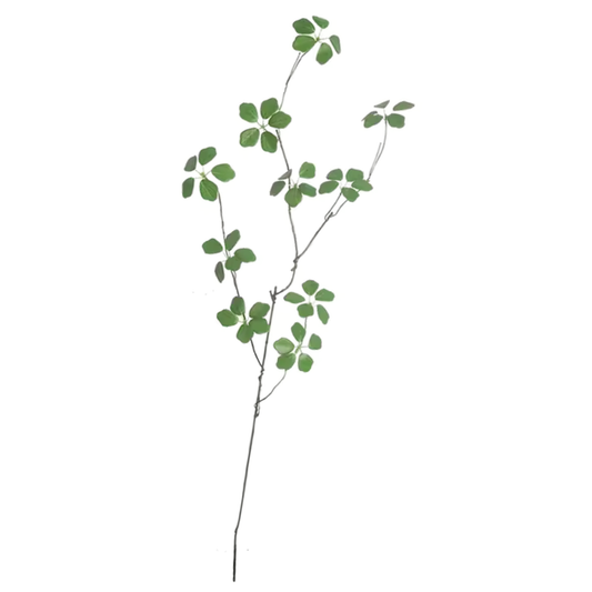 Delicate Branch | Stem
