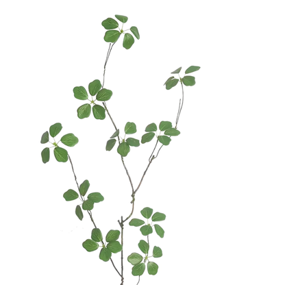 Delicate Branch | Stem