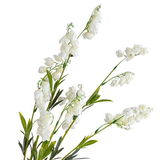 Lily of the Valley | Stem