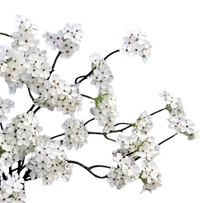 Floral | Blossom White