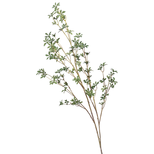 BELLFLOWER | GREEN STEM