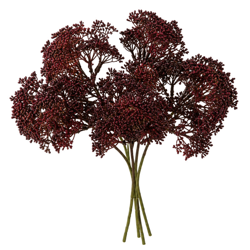 Burgundy Sedum Stem