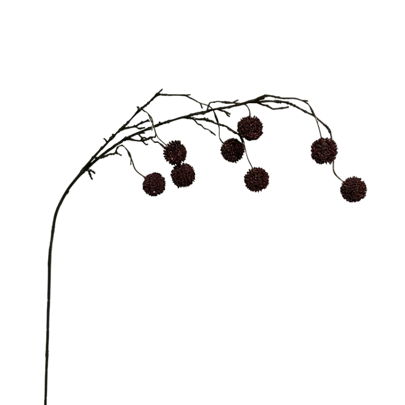Pixie Branch | Dark Coffee