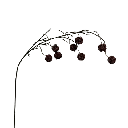 Pixie Branch | Dark Coffee