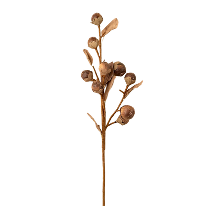 Nut Spray | Coffee