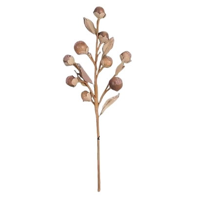 Nut Spray | Oat