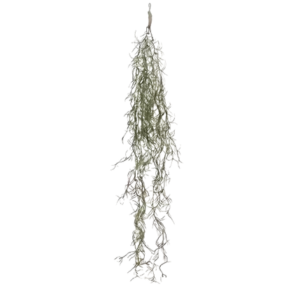 SPANISH MOSS | HANGING