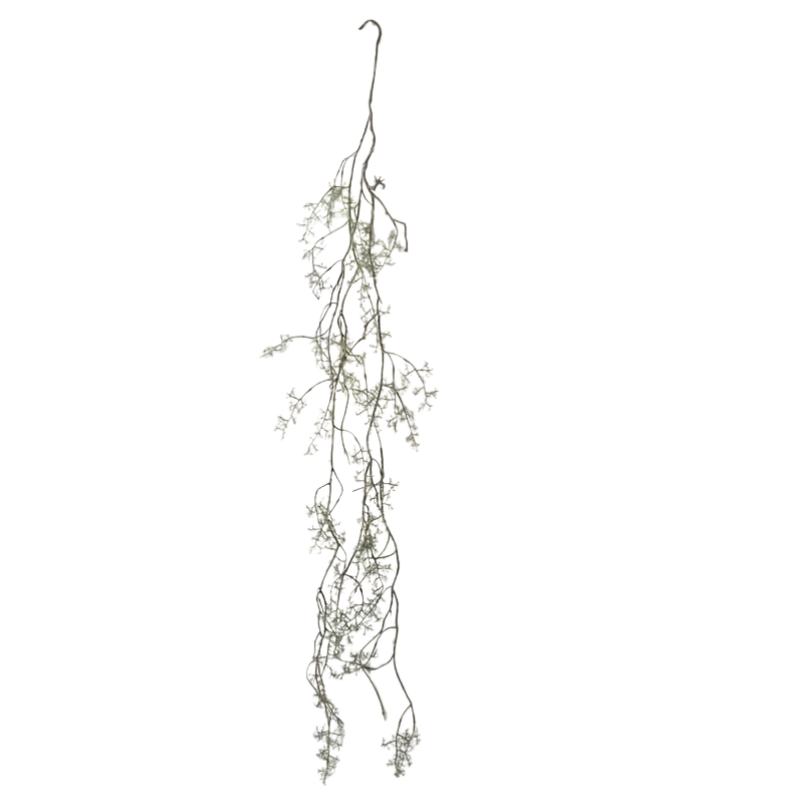 WATER PLANT | HANGING GARLAND