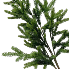 Load image into Gallery viewer, SPRUCE | BRANCH
