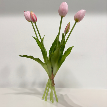 TULIPS | BLUSH
