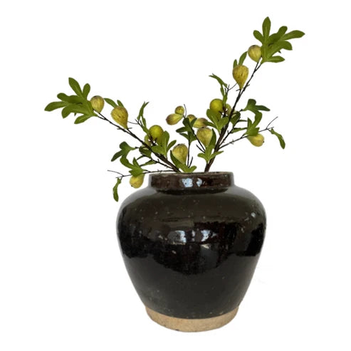 Fig | Green