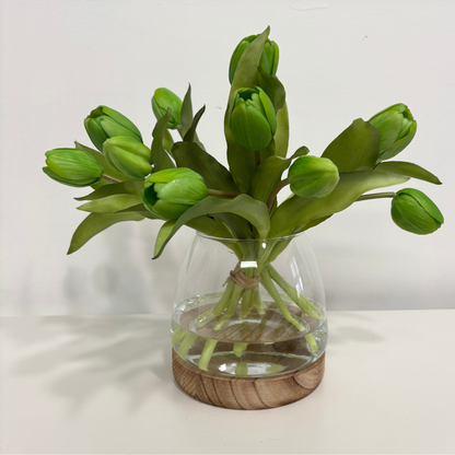 TULIPS | PIXIE GREEN