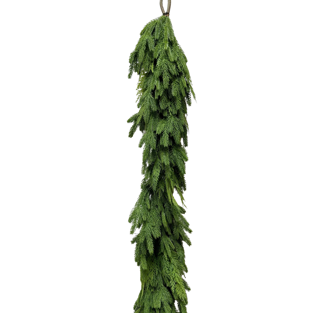 SPRUCE & CEDAR | 6FT