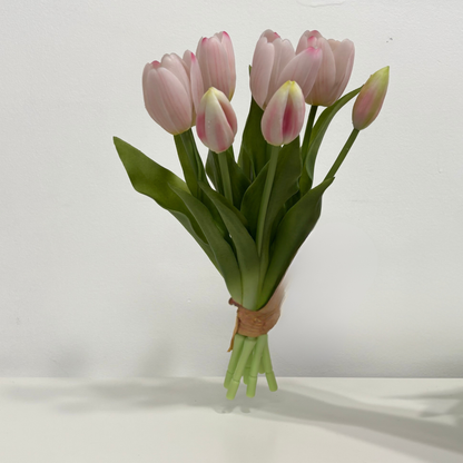 TULIPS | BLUSH