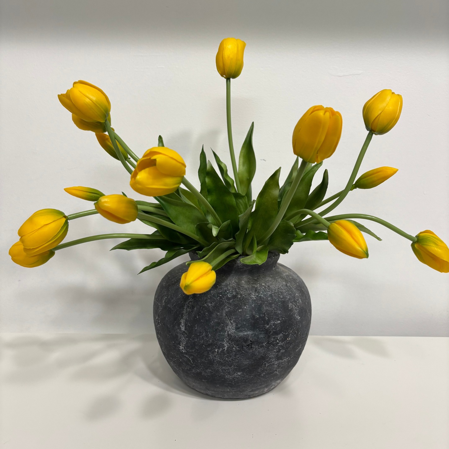 TULIPS | YELLOW