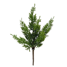 Load image into Gallery viewer, JUNIPER | STEM SM
