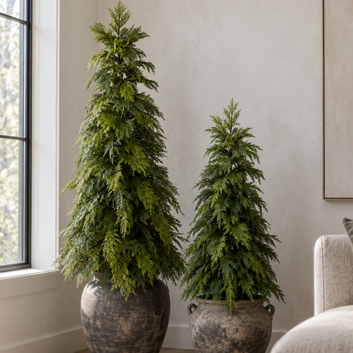 WHITE CEDAR | 60" TREE