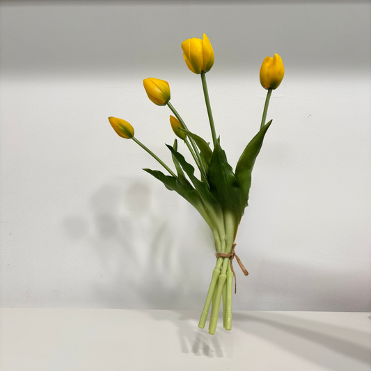 TULIPS | YELLOW