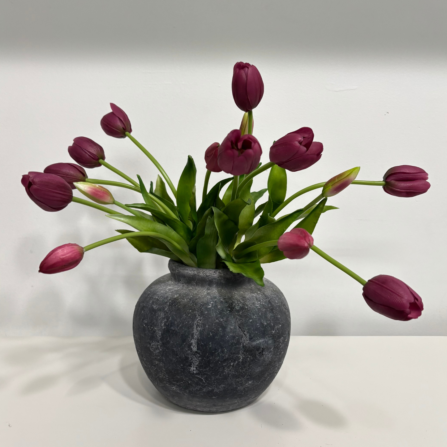TULIPS | PLUM