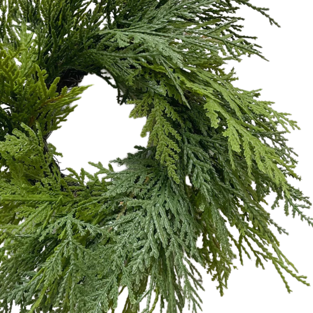 WHITE CEDAR | WREATH