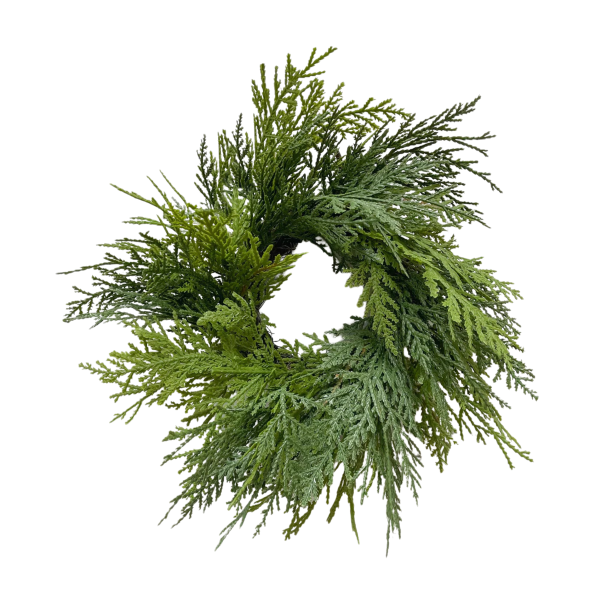 WHITE CEDAR | WREATH