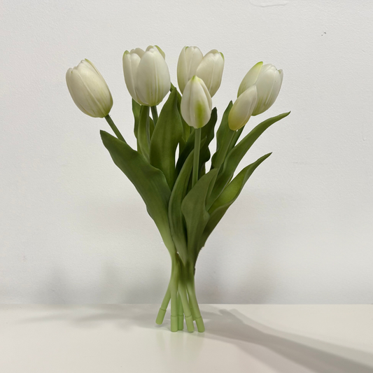 TULIPS | WHITE