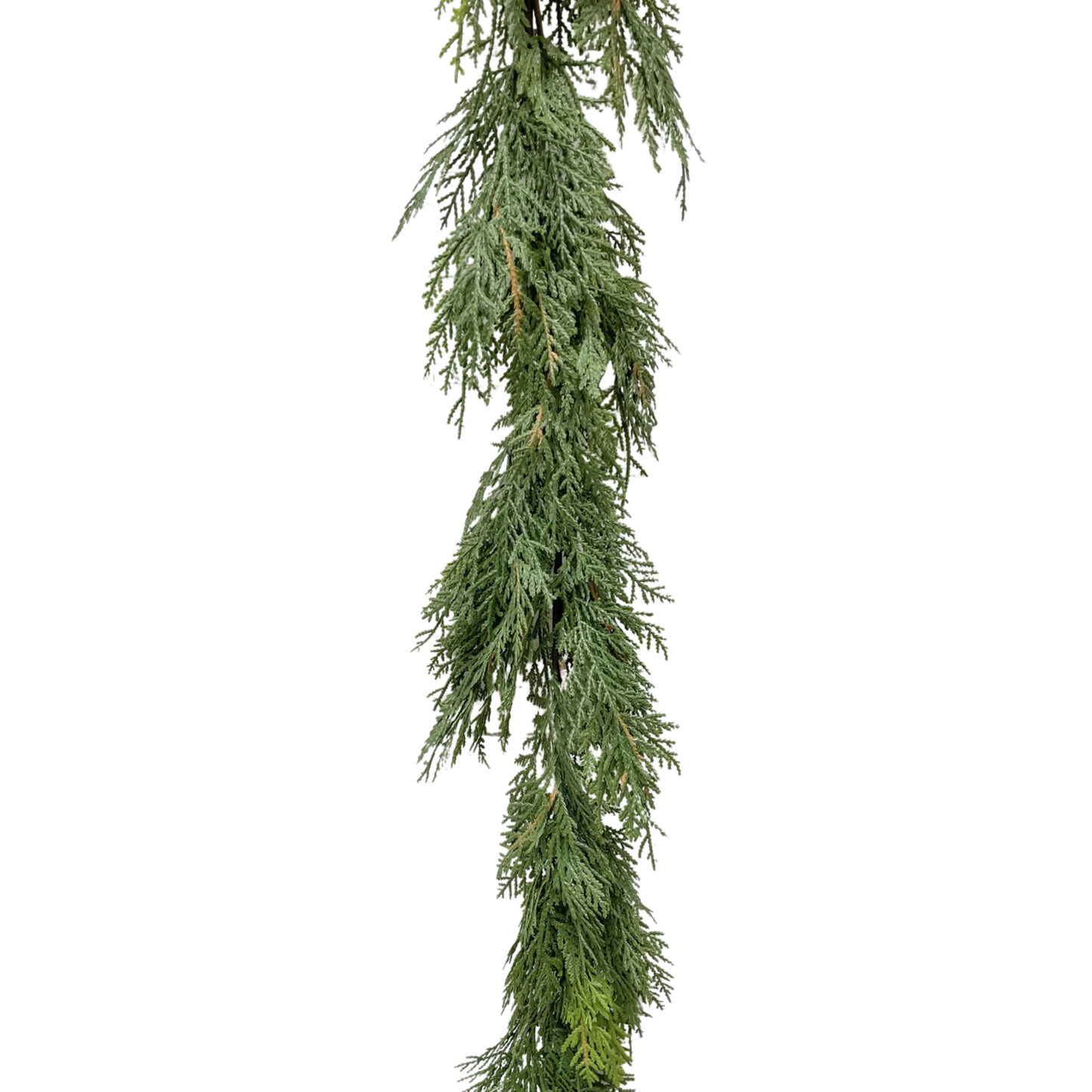 WHITE CEDAR | GARLAND