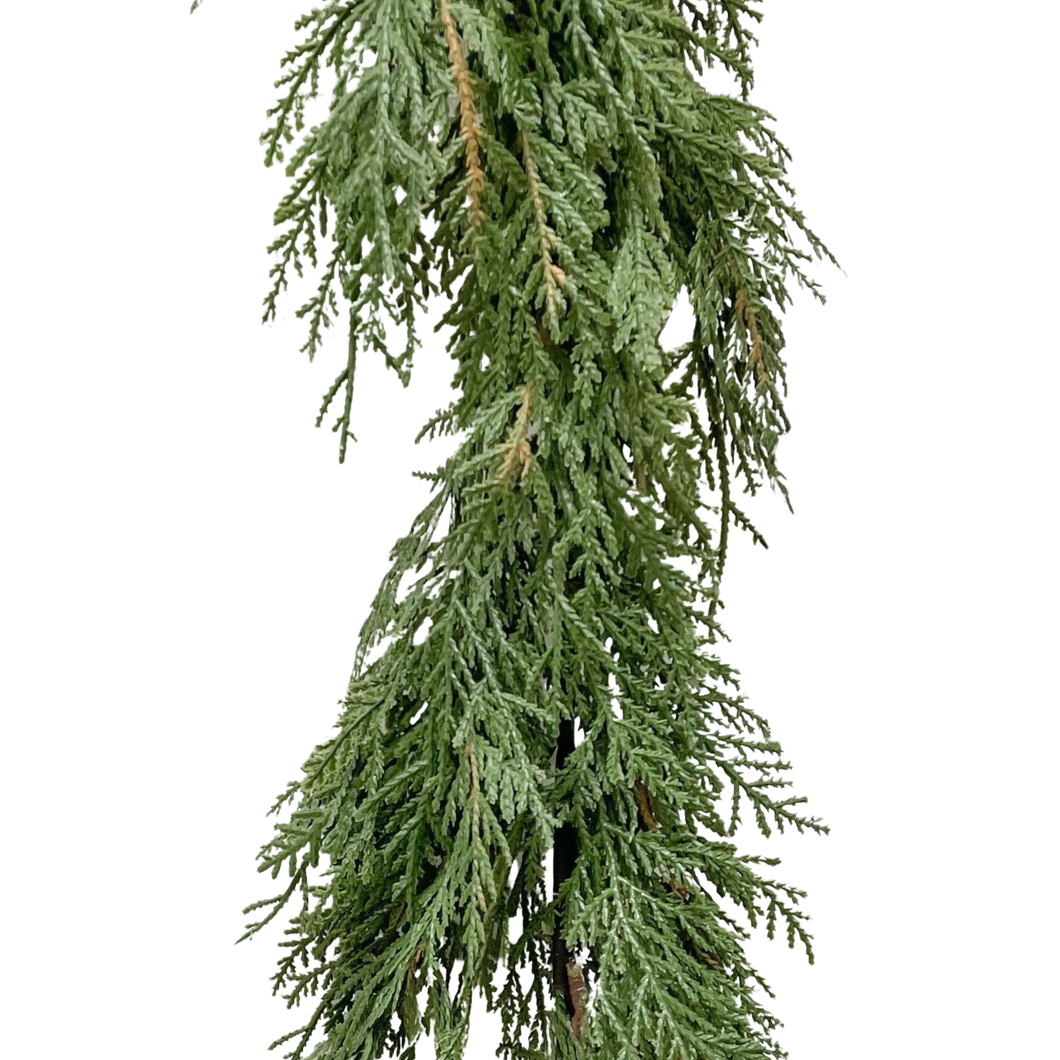 WHITE CEDAR | 10FT