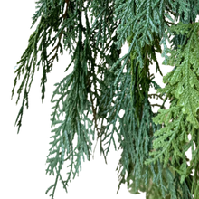 Load image into Gallery viewer, WHITE CEDAR | HANGING BUNCH
