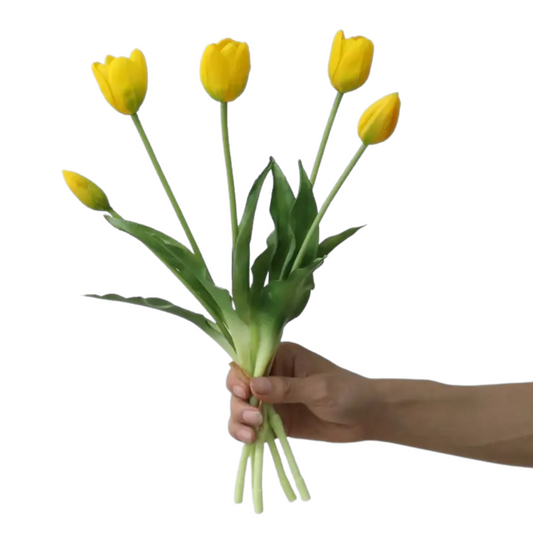 TULIPS | YELLOW
